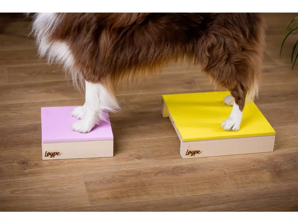 LOYPE TARGET HAMTAL – výcviková pomůcka pro dogdancing, obedience, dogfitness Beperkt Aanbod