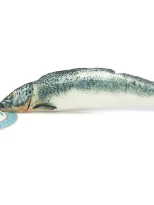 Hračka pro kočky s madnipem – SALMON Seizoensaanbieding