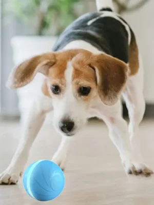 Korting Cheerble Wicked Ball Interaktivní hračka pro psy