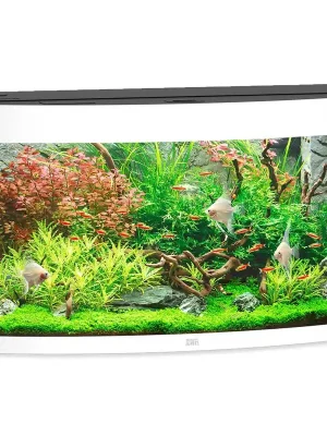 Akvarium JUWEL Vision LED 180 Bestel Nu