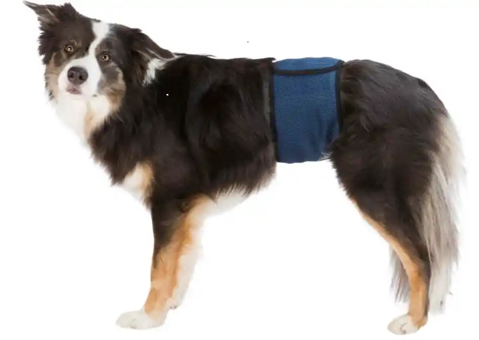 Alleen Vandaag TRIXIE Břišní pás na podložky pro psa samce, tmavě modrý S-M pas 37-45 cm