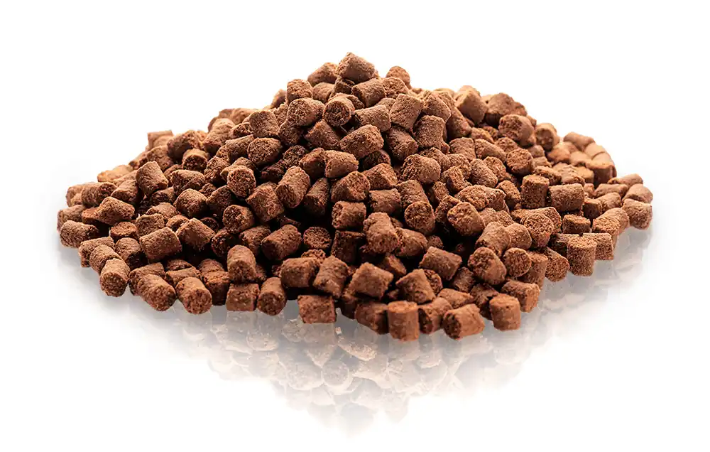 ESSENTIAL Motivation Delights 500 g Gecertificeerd