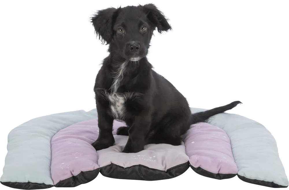Favoriet TRIXIE JUNIOR patchwork polštář DUHA, 68 x 62 cm, mátová/lila, růžová, velur