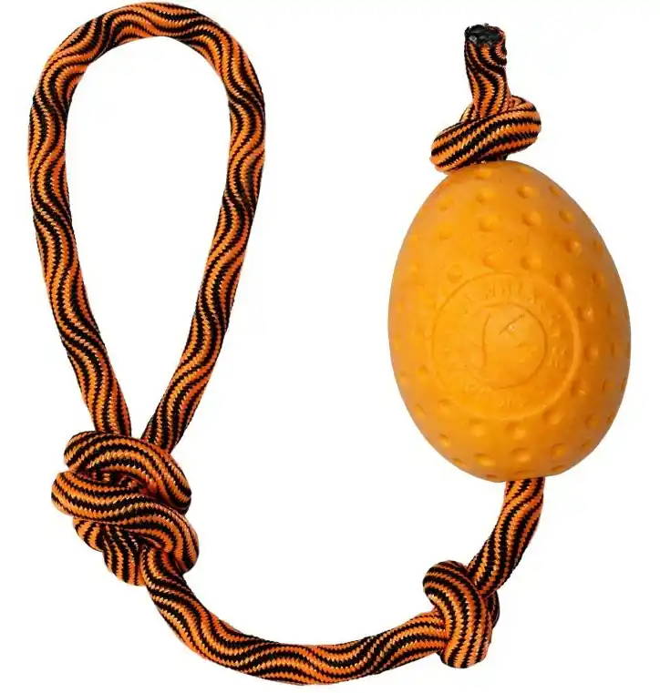 Hračka pes EGG MAXI plov. z TPR oranžová Kiwi - Plovoucí hračka ve tvaru vajíčka, Maxi velikost, oranžová Laatste Kans