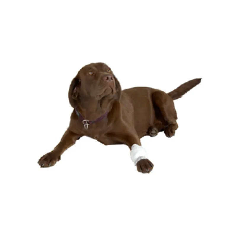 Obvaz hadicový síťový BUSTER 1,25cm x 6,5m bílý Uitverkoop