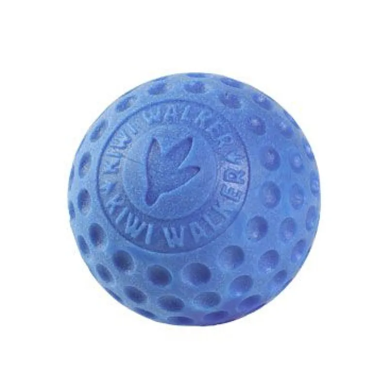 Hračka pes BALL MINI plov. z TPR modrá Kiwi Rechtstreeks Van De Fabrikant